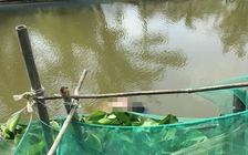 Bạc Liêu: Làm rõ vụ phát hiện thi thể người đàn ông Trung Quốc nổi dưới kênh