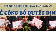 Xét giáo sư năm 2019 sẽ do hội đồng nhiệm kỳ mới thực hiện