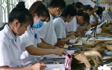 Trường ĐH Nông lâm TP.HCM sẽ có trường thành viên?