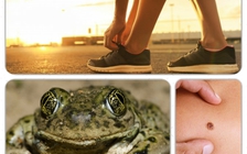 Ngày mới với tin tức sức khỏe: Lợi ích bất ngờ của đi bộ trước ăn sáng