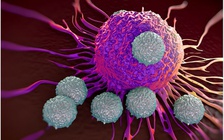 Ngày mới với tin tức sức khỏe: Tại sao có người mắc Covid-19 chỉ triệu chứng nhẹ?