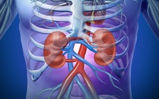 Ngày mới với tin tức sức khỏe: Muốn thận khỏe, lưu ý những điều này!