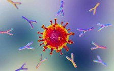 Người nhiễm Covid-19 nặng hay nhẹ dễ bị tái nhiễm hơn?