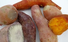 Ngày mới với tin tức sức khỏe: Thêm tin vui cho những ai thích ăn khoai lang