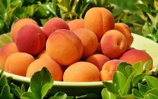 Ngày mới với tin tức sức khỏe: Loại quả giúp phòng bệnh, kéo dài tuổi thọ