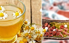 Ngày mới với tin tức sức khỏe: Loại trà có thể giảm cholesterol, hạ đường huyết