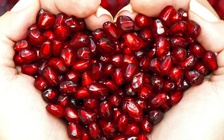 Ngày mới với tin tức sức khỏe: Trái cây này giúp phòng ngừa tiểu đường, ung thư