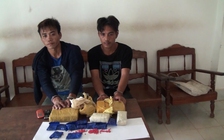 Bắt 2 nghi phạm vận chuyển 12.000 viên ma túy tại biên giới
