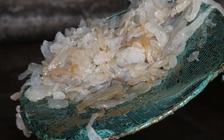 20 tấn sứa ế ẩm phân hủy, bốc mùi vì không ai mua, tiểu thương khóc ròng