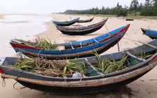 'Thảm họa' môi trường Formosa khiến Quảng Trị thiệt hại 867 tỉ đồng trong 6 tháng