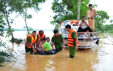 Lùa bò lên nơi cao tránh lũ, một người mất tích