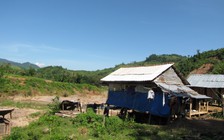 Lại rung chấn tại miền núi Quảng Trị