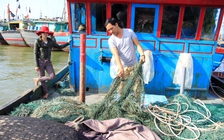 Khẩn trương làm rõ 'bùn lạ' xuất hiện ở ngư trường Quảng Trị