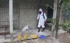 Quảng Trị thiếu vắc xin phòng chống dịch cúm gia cầm