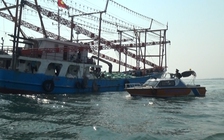 Đầu năm, cứu hộ tàu chở 1.853 tấn gạo gặp nạn trên biển