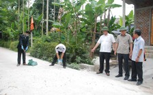 Phát dịch tả lợn châu Phi, Quảng Trị lo cho đàn lợn 242.000 con