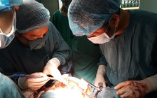 Phẫu thuật cứu sống cụ bà bị u tuyến ức khổng lồ, hiếm gặp