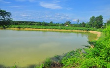 2 trẻ nhỏ đuối nước thương tâm trong ao nước gần nhà