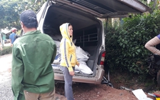 Gặp tai nạn liên hoàn, ô tô 'lòi' hàng lậu