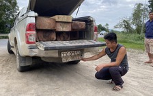 Xe bán tải 2 biển số chở gỗ lậu chạy bạt mạng