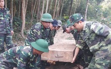 Phát hiện 8,3 m3 gỗ lậu giấu ở khe suối, hang đá trong rừng