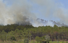 Gia Lai: Cháy rừng thông nhiều năm tuổi