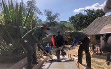 Sôi nổi tình nguyện hè với 'Hành quân xanh' và 'Kỳ nghỉ hồng'