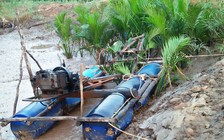 Bến Tre: Phát hiện dụng cụ chuyên hút cát trong rừng phòng hộ và đặc dụng