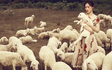 Ngọc Thanh Tâm làm cô gái du mục trên đồng cừu