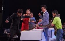 Bỏ mặc Bảo Anh, Hồ Quang Hiếu 'tháo chạy' khi gặp trăn