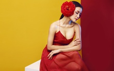 Phương Trinh Jolie xúc động nhớ về cái tết buồn tủi nhất