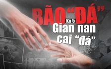 Bão 'đá': Gian nan cai 'đá'