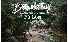 'Bão ma túy' dưới chân núi Pù Lôm