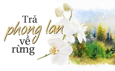 Trả phong lan về rừng