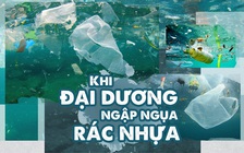 Khi đại dương ngập ngụa rác nhựa