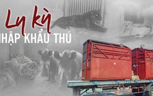 Ly kỳ nhập khẩu thú