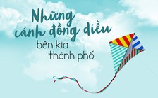 Những cánh đồng diều bên kia thành phố