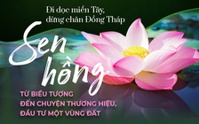 Đi dọc miền Tây, dừng chân Đồng Tháp: Đất Sen hồng từ biểu tượng đến chuyện thương hiệu