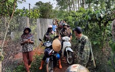 Đi làm gỗ, nhóm công nhân phát hiện thi thể trên đường