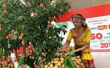 Đắk Nông hỗ trợ tiêu thụ 50 tấn vải thiều từ Bắc Giang