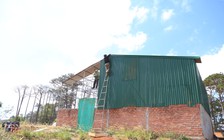 Đắk Nông: Bị lập biên bản, vẫn tiếp tục trồng hoa màu, dựng nhà trên đất rừng