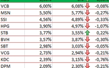 Quỹ V.N.M ETF thêm ROS vào danh mục