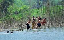 Bất cập hành trình đưa 'cá' ra sông