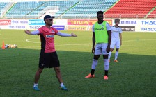 Ghế HLV ở HAGL: Có một người Hàn Quốc khác...