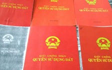 Kỷ luật cảnh cáo một phó chủ tịch huyện do vi phạm quản lý đất đai