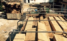 Bắt giữ vụ vận chuyển 55 m3 gỗ không có giấy tờ hợp lệ