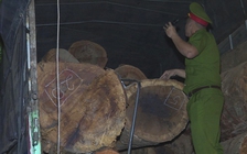 Đắk Lắk: Vận chuyển gỗ lậu bằng hồ sơ giả?