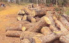 Bắt tạm giam chủ tịch xã nhận hối lộ