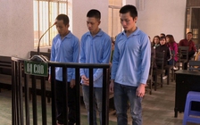 Trộm 1,8 tỉ đồng, lãnh tổng cộng 41 năm tù