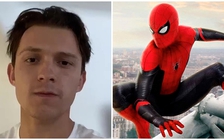 Tom Holland 'hạ cánh' tại Mỹ để khởi quay 'Người nhện 3'